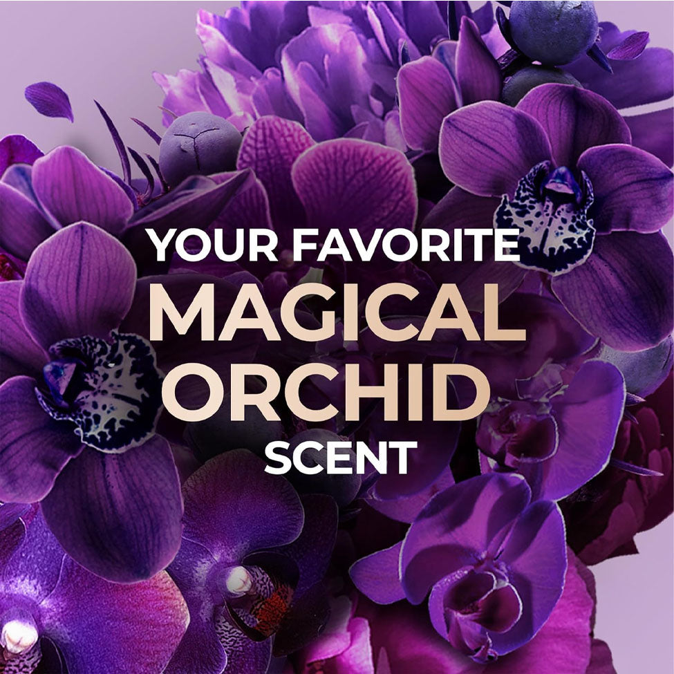 عرض للوكس صابون سحر الجمال 165 جم × 4 | صيدلية.كوم.