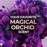 عرض  للوكس صابون سحر الجمال 165 جم × 4 |  صيدلية.كوم.