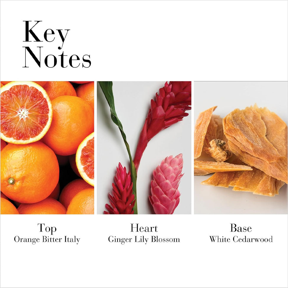 اليزابيث أردين وايت تي جينجير ليلي أو دو تواليت 100 مل | صيدلية.كوم.