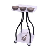 عربة تنظيم تحضير صبغات الشعر T0146 | صيدلية.كوم.