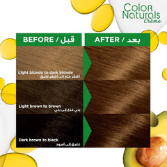 Garnier Color Naturals Hair Dye Chocolate Brown 6.34