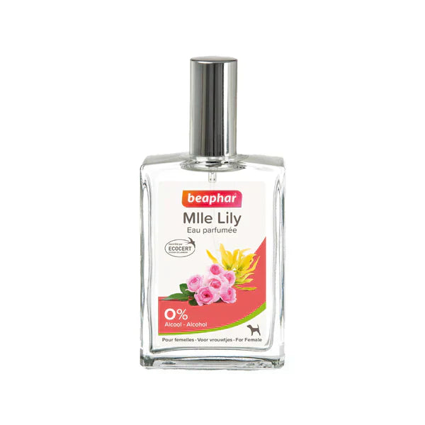 بيفار الآنسة ليلي عطر للكلاب الاناث 50 مل |  صيدلية.كوم.