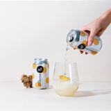 شاي كمبوتشا عضوي من روي 330 مل | صيدلية.كوم.