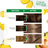 غارنييه كولور ناتشرلز صبغة شعر أشقر رمادي عميق 7.11