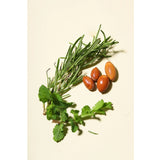 ارغانميداس زيت أكليل الجبل والنعناع 100 مل | صيدلية.كوم.