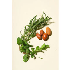 ارغانميداس زيت أكليل الجبل والنعناع 100 مل | صيدلية.كوم.