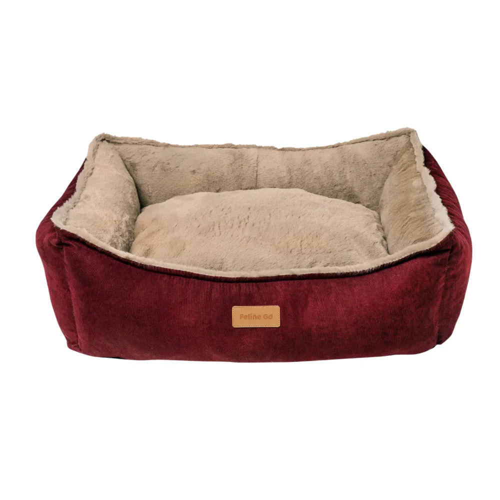 كانين قو سرير تشيز كيك | صيدلية.كوم.