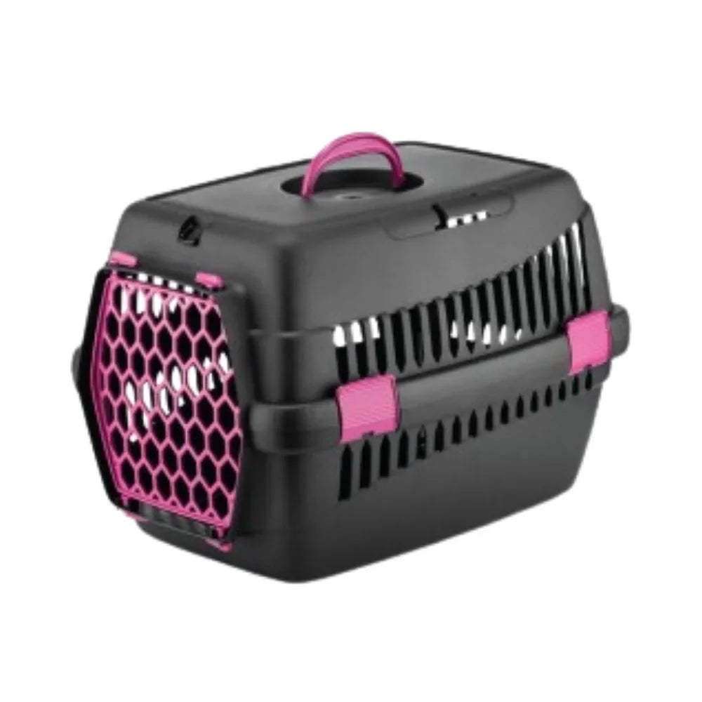 فيلاين قو حامل تنقل بلاستك وسط اسود وارجواني | صيدلية.كوم.