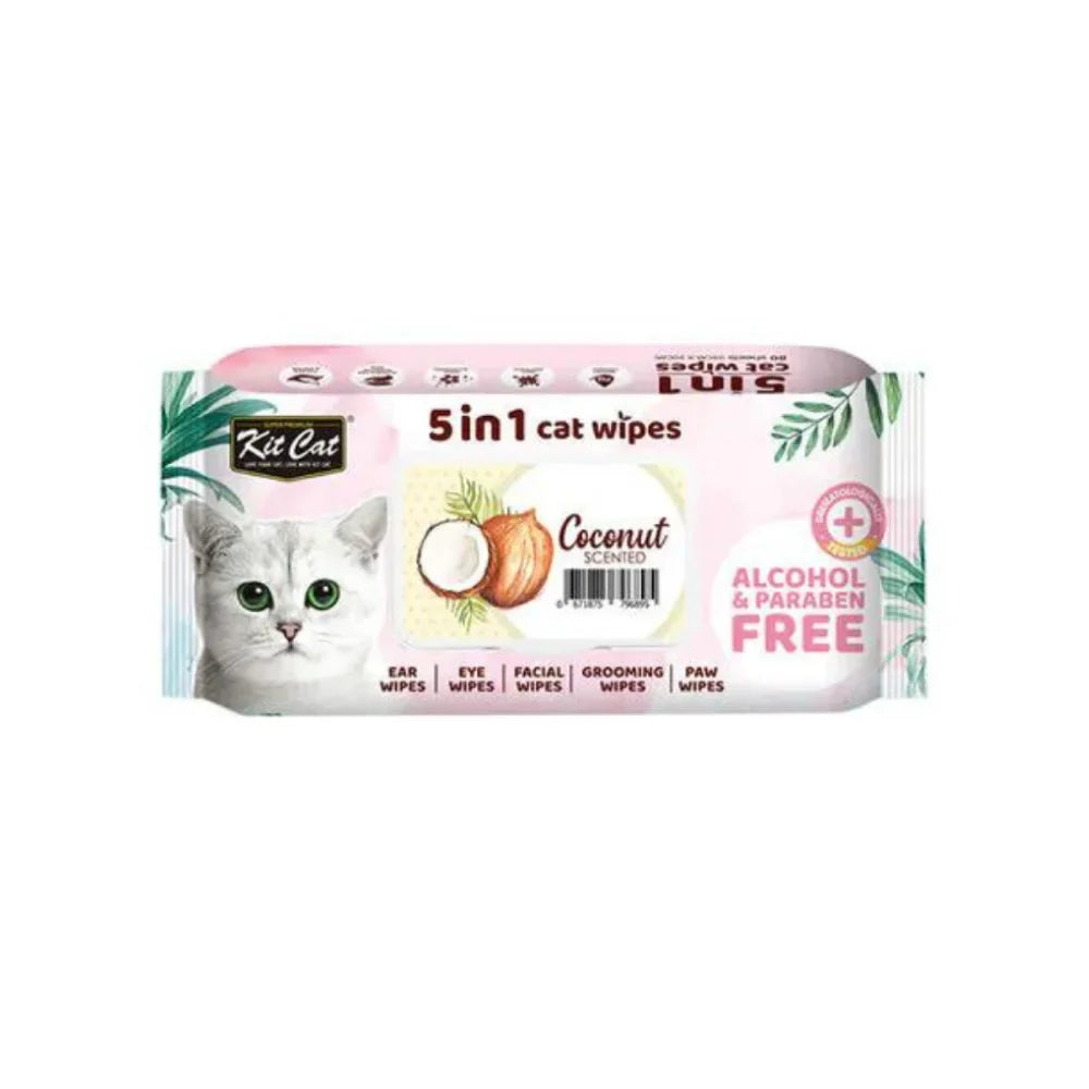 كت كات مناديل معطرة 5 في 1 80 منديل |  صيدلية.كوم.