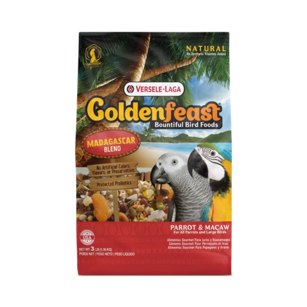 قولدن فيست مدغشقر وجبة كاملة للببغاء والماكاو 1.36 كيلو | صيدلية.كوم.