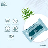 بست كلين مناديل مبللة مزيلة للبقع 10 قطع | صيدلية.كوم.