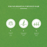 فاتيكا شامبو الشعر للتحكم بتساقط الشعر 400 مل | صيدلية.كوم.