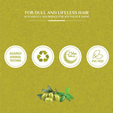 فاتيكا شامبو بالزيتون والحناء 400 مل | صيدلية.كوم.