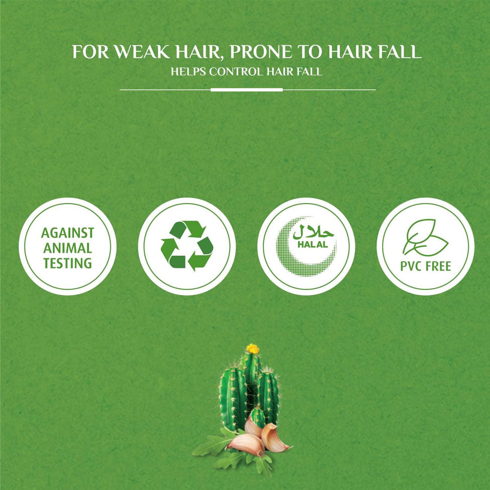 فاتيكا شامبو