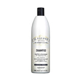 ال صالون شامبو بالبروتين للشعر العادى للجاف