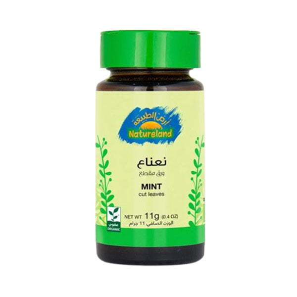 أرض الطبيعة نعناع ورق مقطع عضوى