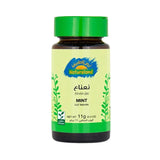 أرض الطبيعة نعناع ورق مقطع عضوى