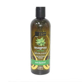 شامبو بوتيك بالصبار ضد القشرة