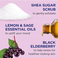 Dr.Teals Body Scrub With Sugar, Shea, And Blackberry 538 Gm