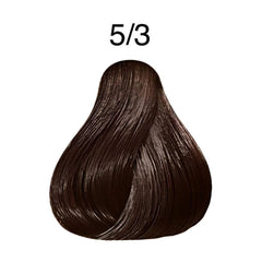 كوليستون صبغة شعر كيت بني ذهبي فاتح 0% امونيا ديلوكس 5/3