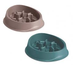 ستيفان بلاست شيك وعاء طعام 0.5 لتر |  صيدلية.كوم.