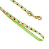 زولكس مشد نايلون للقطط - 1 متر - 10 مم - فوسفور | صيدلية.كوم.