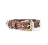 ماي فاميلي بلباو طوق جلد للكلاب بني 45×2.8 سم |  صيدلية.كوم.