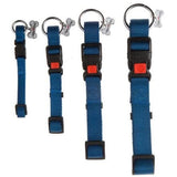 جيم دوق طوق نايلون كلاب لون أزرق 2.5×60 سم |  صيدلية.كوم.