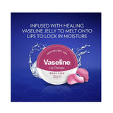 فازلين لعلاج الشفاة بالورد وزيت اللوز