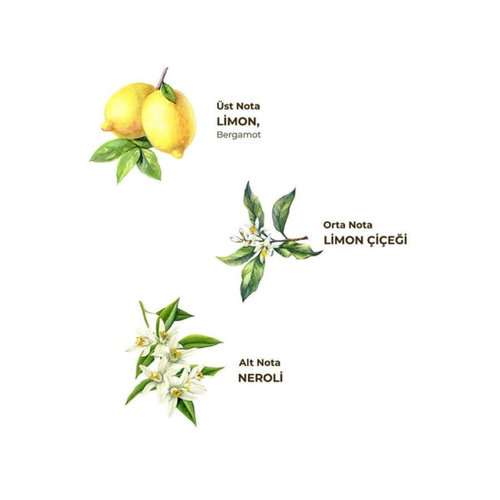 كولونيا الليمون الكلاسيكية زجاجة بلاستيكية 400 مل من أيوب صبري تونسر | صيدلية.كوم.