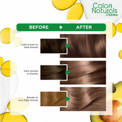 Garnier Color Naturals 7.132 Very Natural Dark Blonde