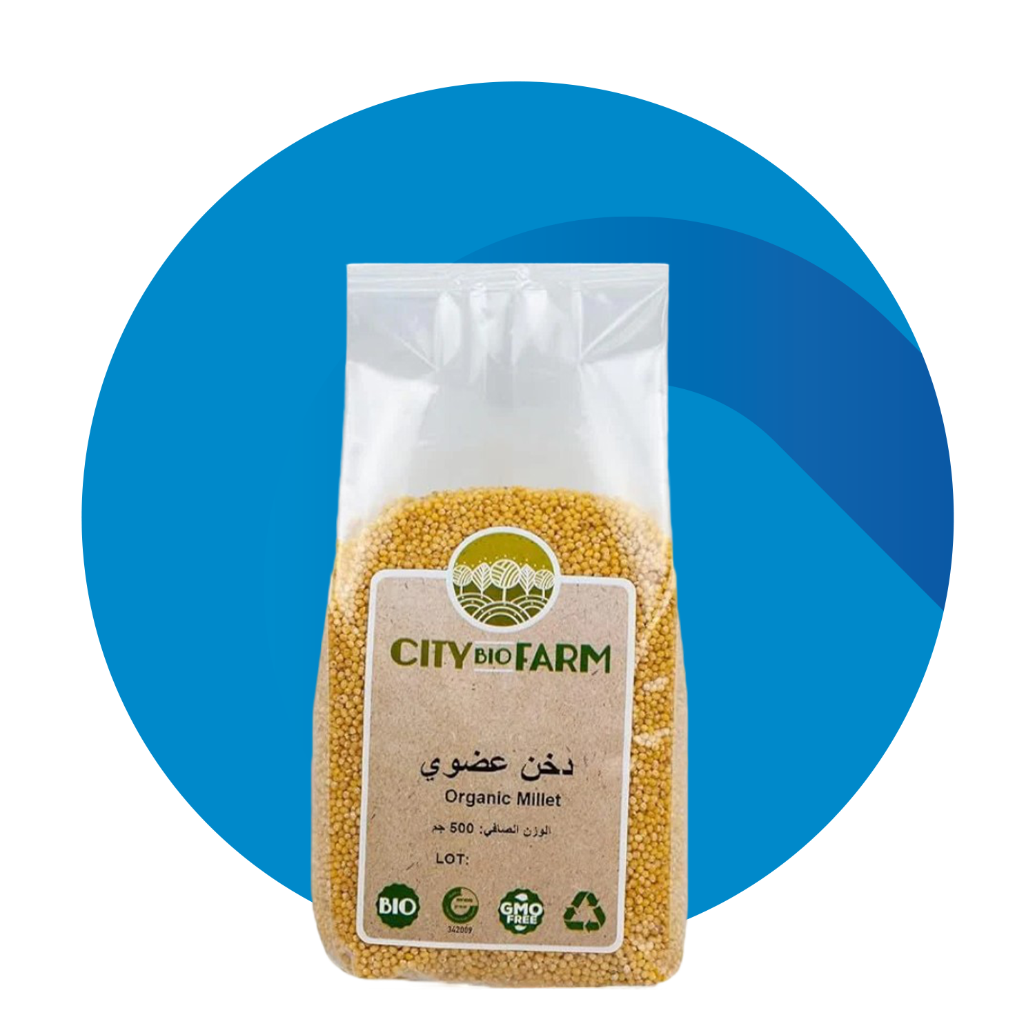بذور وبقول الحبوب