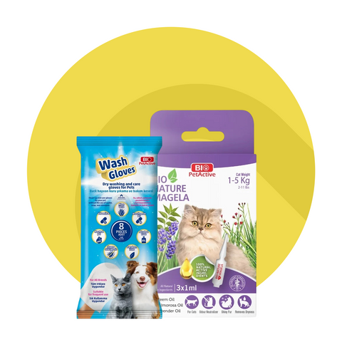 Cat training and cleaning