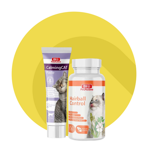 Cat treats and vitamins