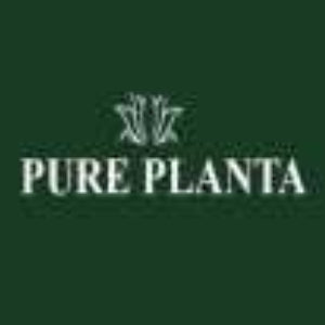Pure Planta