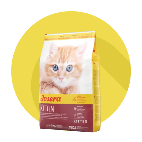 Dry food cat 