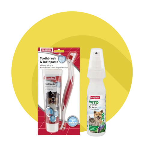 Dog care and hygiene