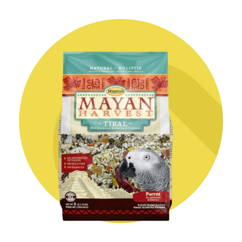 Bird food