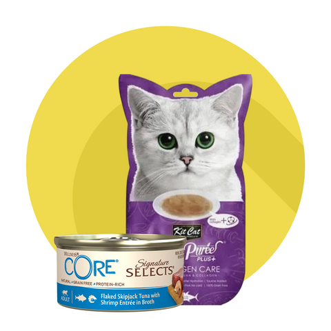 Wet food cat 