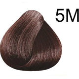 صبغة شعر كيت بدون امونيا كستنائي ماهوجني 5M من كلر & سوا 135 مل