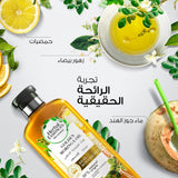 شامبو شعر بيو رنيو نعومه بزيت مورينغا الذهبي v2 من هيربل ايسنسز 400 مل
