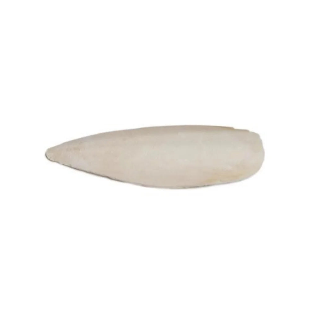 بريفيو بيت عظام الحبار مكافآت للطيور 25 حبة مع مثبت - صغير |  صيدلية.كوم.