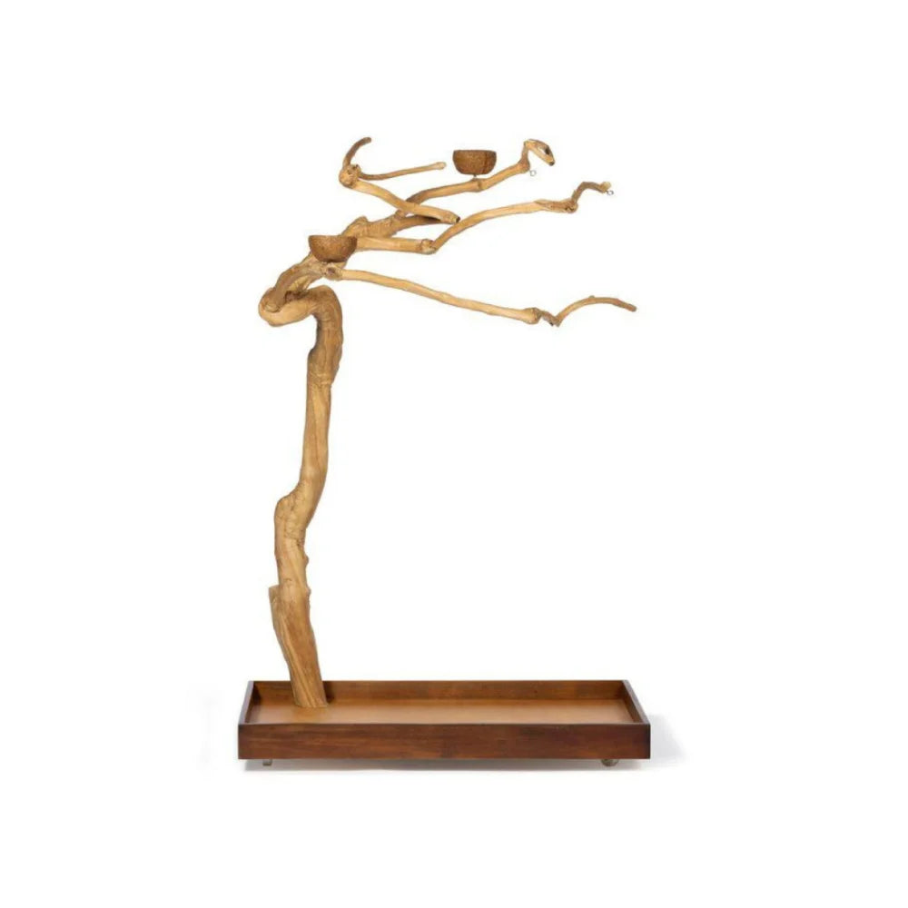 بريفيو بيت شجرة القهوة ستاند خشبي للببغاء مع قاعدة أرضية |  صيدلية.كوم.