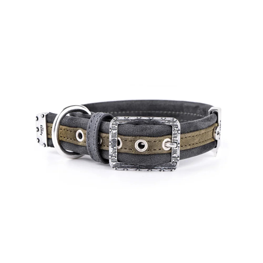 ماي فاميلي لندن طوق جلد أخضر 36×2.2 سم |  صيدلية.كوم.