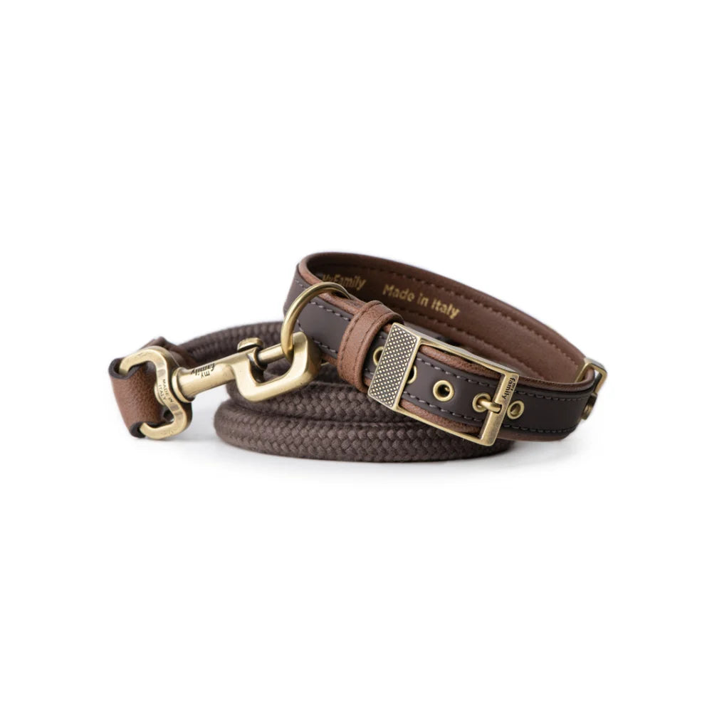 ماي فاميلي بلباو مشد جلد للكلاب أسود 110×1.6 سم |  صيدلية.كوم.