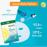 Garnier Skin Active Facial Mask for Acne-Prone Skin 23g