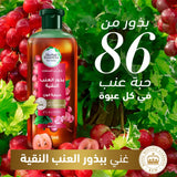 Pure Renew Hair Shampoo with Pure Grape Seeds Color Protection  Herbal Essences 400 ml