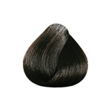Color & Soin Hair Dye 4N Natural Chestnut 135 ml