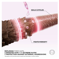 شامبو إلفيف جليكوليك جلوس من لوريال باريس |  صيدلية.كوم.