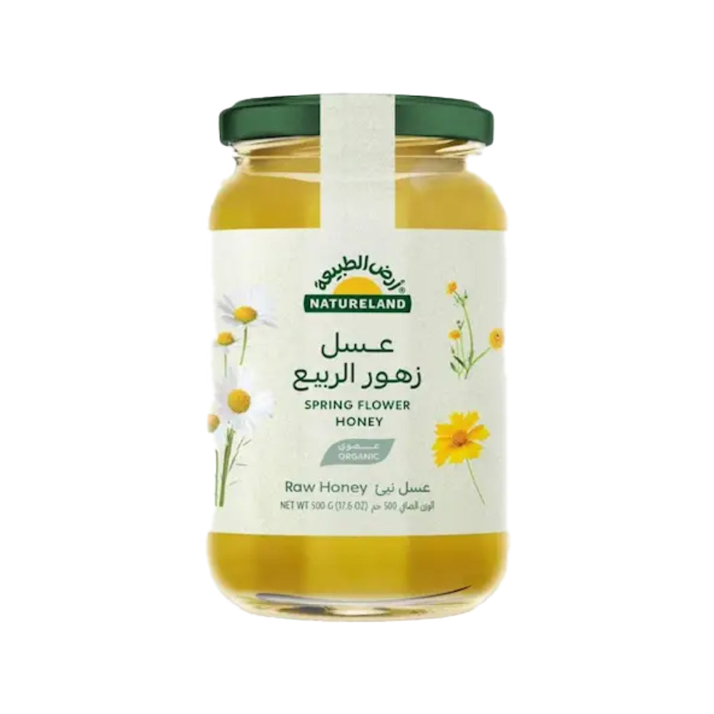 أرض الطبيعة عسل زهور الربيع 500 جم